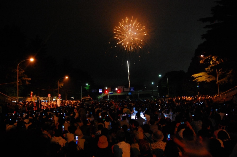 Honkai impact 3rd, profile picture. Japan Fireworks Festivals You Should Watch During the