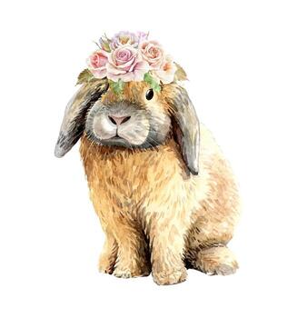 To explore more similar hd image on . Watercolor Rabbit Vector Art Icons And Graphics For Free Download