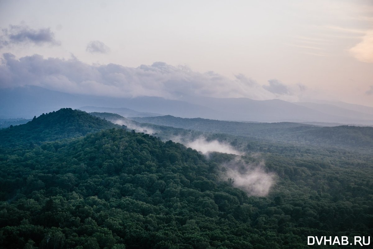 Идём через тьму, встречаем рассвет, пьем кофе, ловим кайф. Posle Zatyazhnyh Dozhdej Habarovchane Vybralis Fotografirovatsya Na Zmeinuyu Sopku Novosti Habarovska