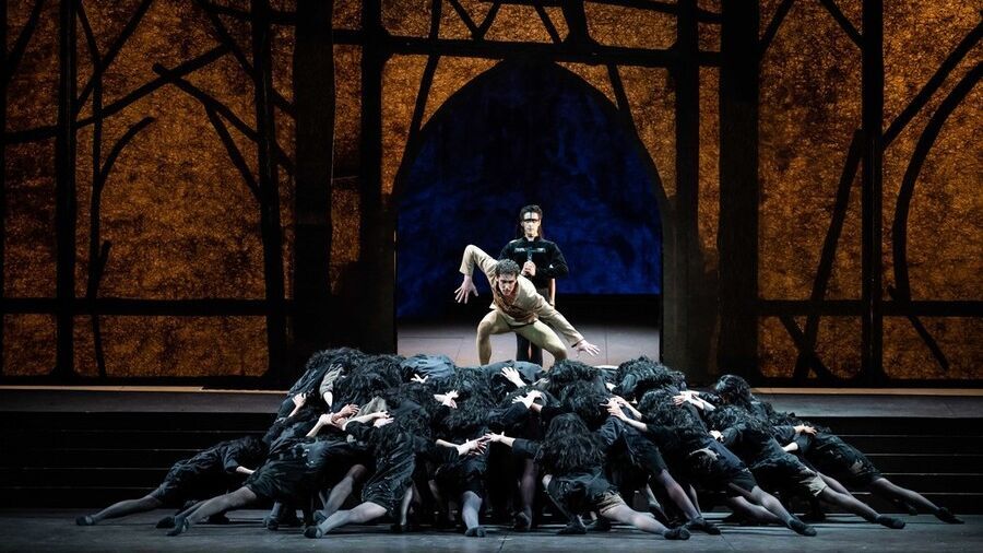 Поездки на поезде по живописной местности хабаровск: Anons Razvlekatelnyh Meropriyatij Na Vyhodnye 26 I 27 Iyunya Novosti Habarovska