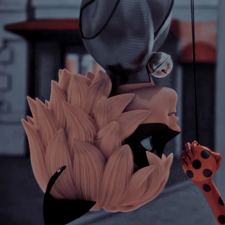 See more ideas about matching icons, matching profile pictures, couples icons. Miraculous Ladybug Matching Profile Pictures Fandom