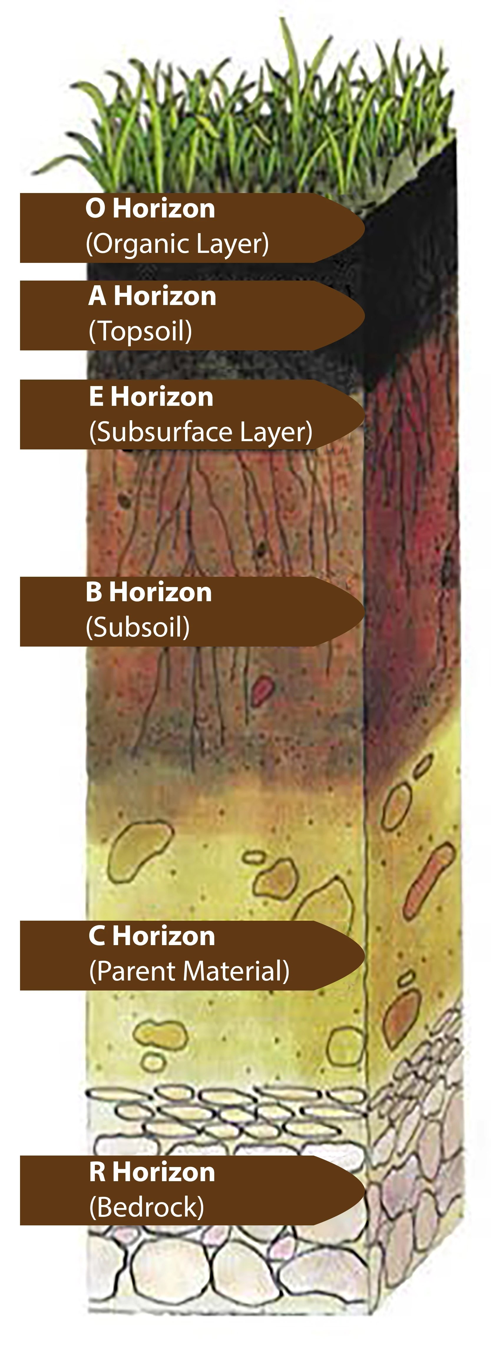 'dark matter' is simply a placeholder for whatever it is that seems to be causing the extra gravity. Soil Horizon | Geology Fundamentals | FANDOM Powered By Wikia