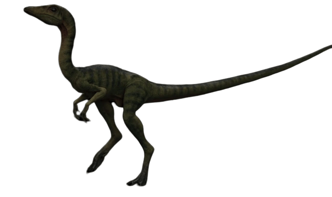 Those people are the real miracle workers of jurassic park. Compsognathus Jurassic Park Wiki Fandom