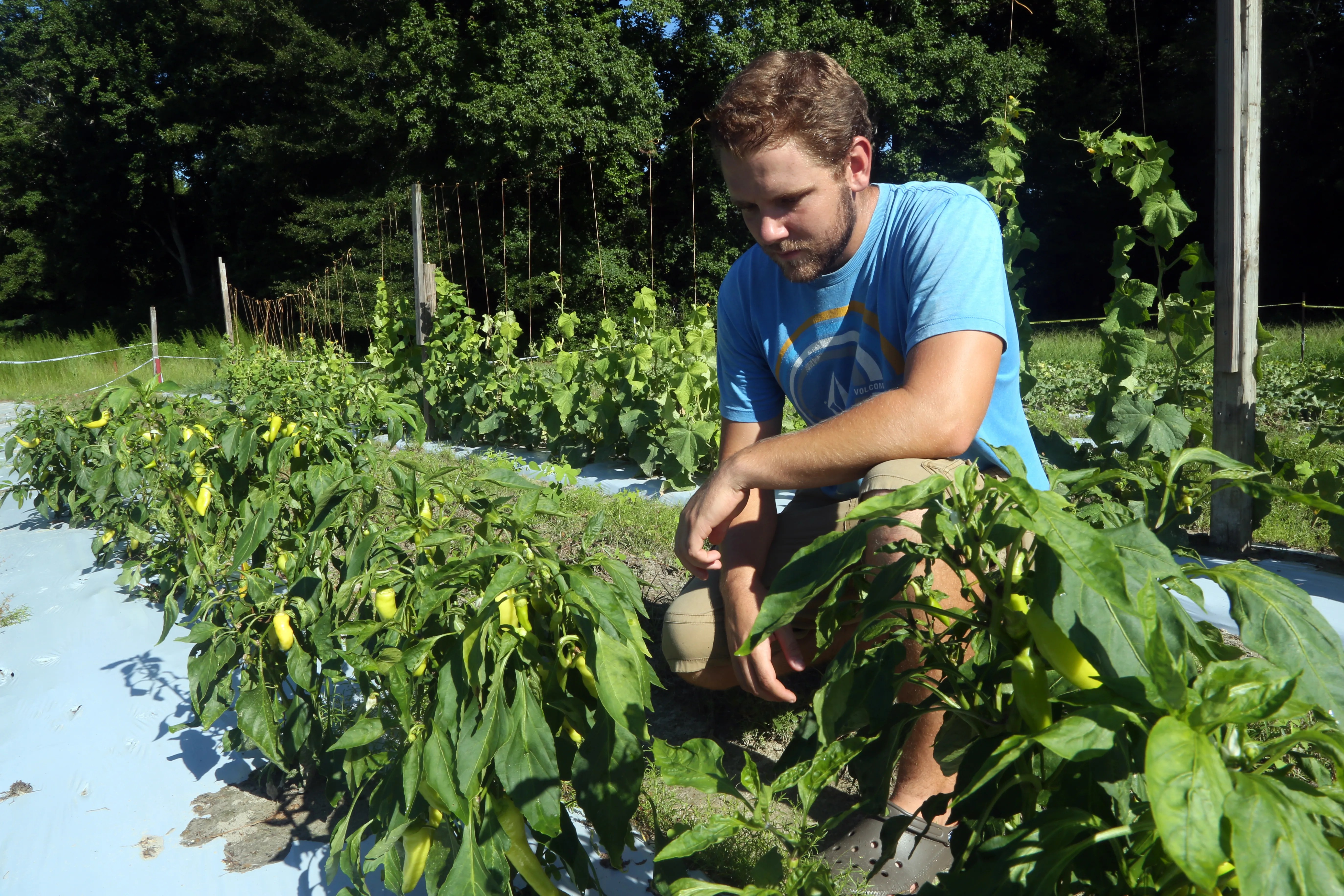 0,000 Donation Expands Grants for Veterans Starting Farming Businesses