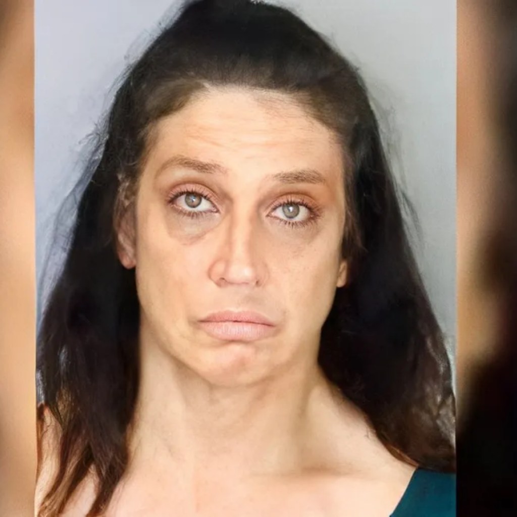 Fake Military IDs Used By Woman in Alleged ,000 Bank Theft Fake Military IDs Used By Woman in Alleged ,000 Bank Theft