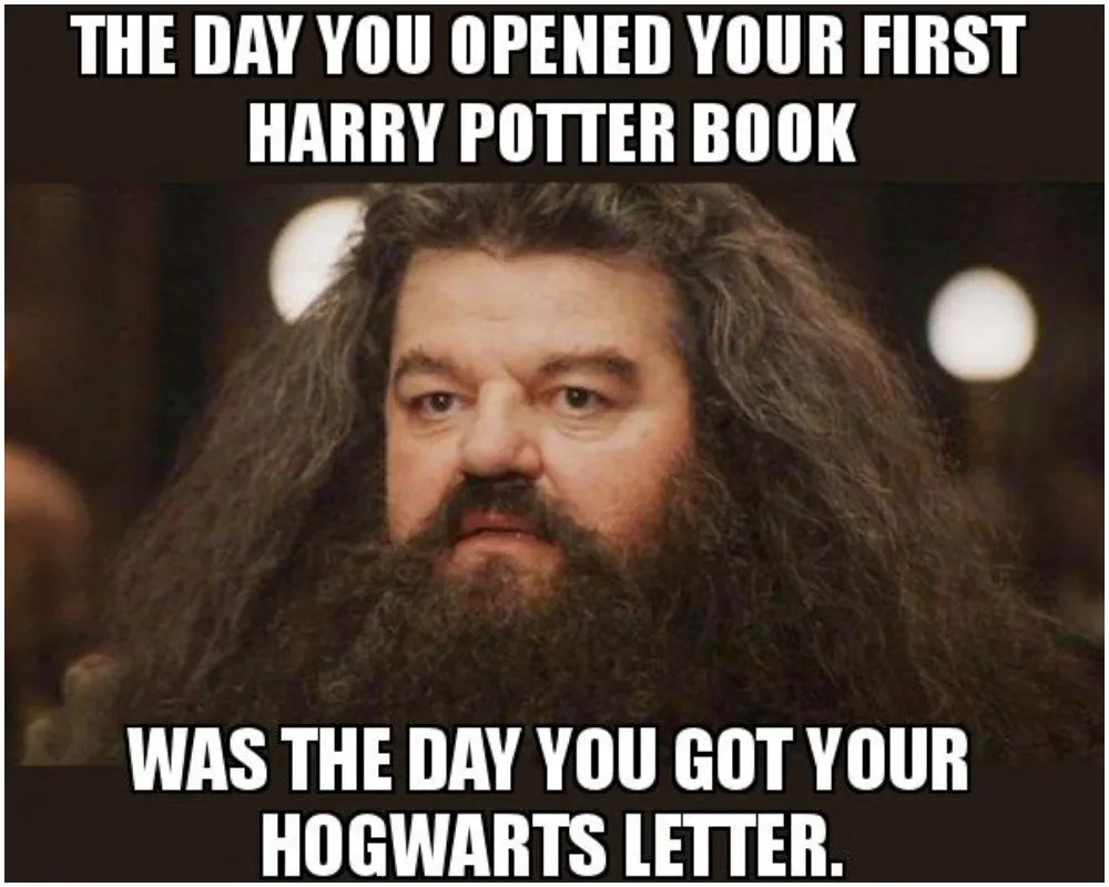 Surely there's a quick cleaning spell or two. Harry Potter 10 Hogwarts Memes Devoted Fans Will Love