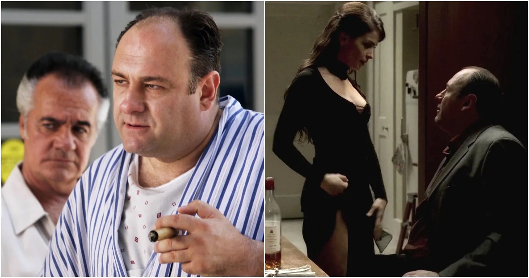 The greatest tv show ever made. The Sopranos 10 Saddest Things About Tony Screenrant
