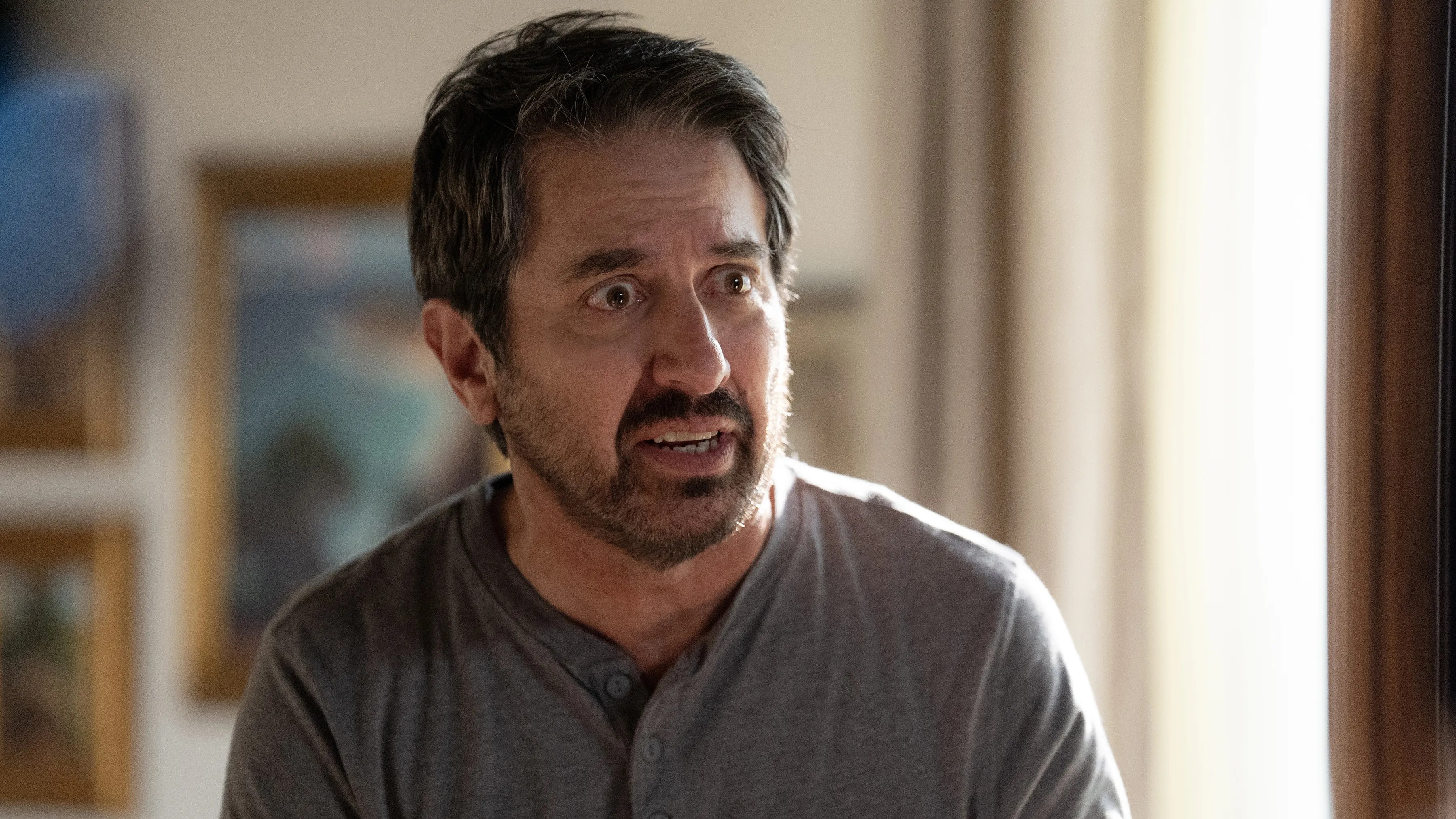 Ray Romano Joins Netflix’s Operating Level Season 2 In Main Function