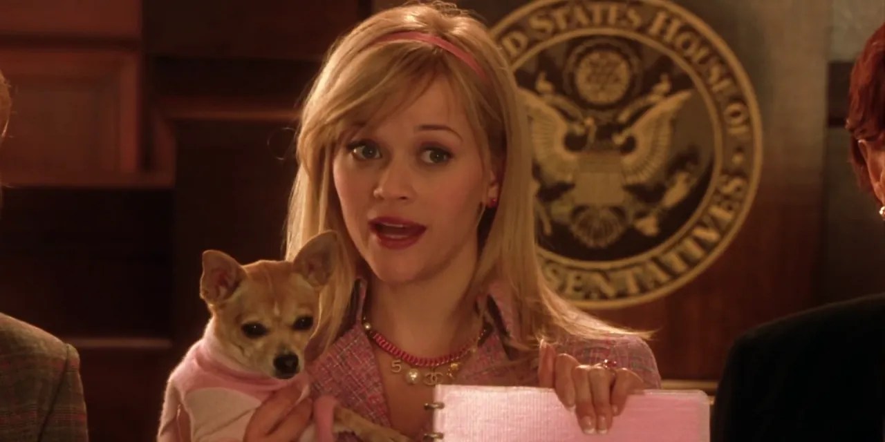 Bend and snap graphic in eps, svg, png, dxf file formats Legally Blonde 15 Memorable Elle Woods Quotes Screenrant