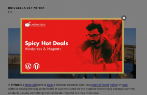 (maximum 300px width and height); Ultimate Guide Top Popup Banner Wp Plugins And How To Use Them