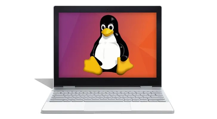Linux Apps In Chrome Os Won T Get Proper Sound And Graphics Support Until December At The Earliest