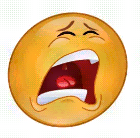 News Bottega Tredici8