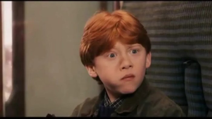 Harry Potter: 24 Hidden Things About Ron Weasley Only Potterheads Know Harry Potter: 24 Hidden Things About Ron Weasley Only Potterheads Know