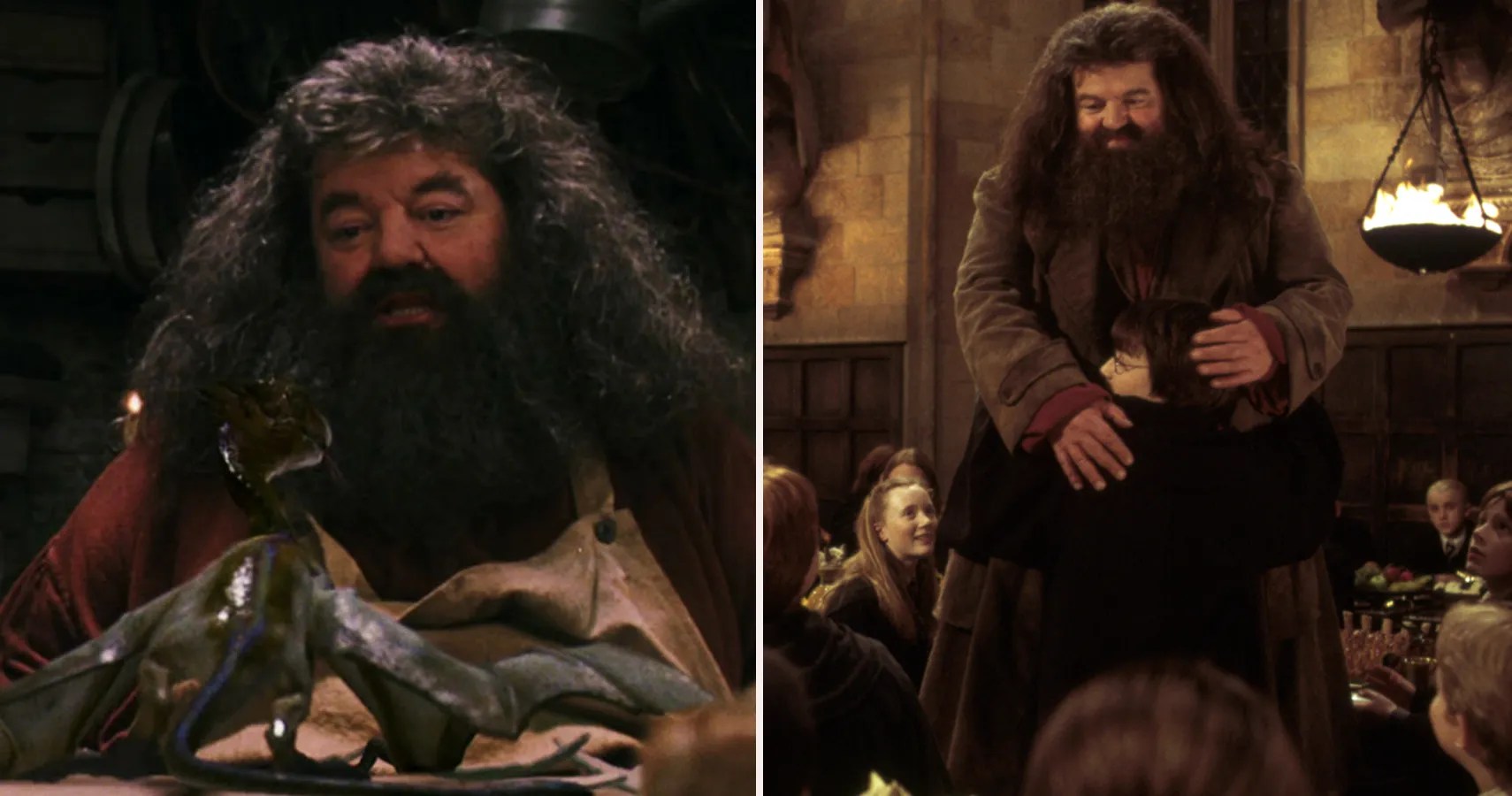 Sep 30, 2021 · rubeus hagrid is a character from the harry potter books by j.k. Harry Potter 5 Most Endearing Hagrid Moments And 5 Times He Was The Worst