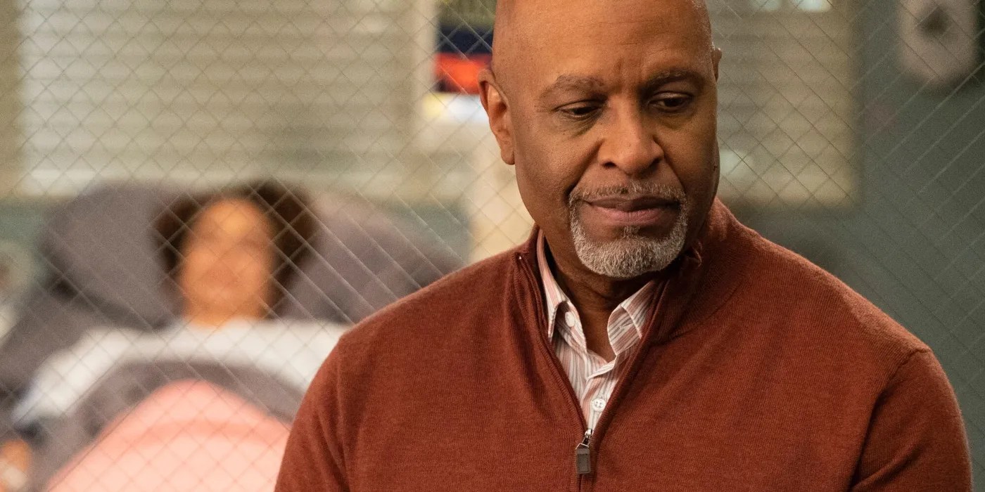 Grey's anatomy is a popular medical show in the united states. Grey's Anatomy: 10 Of Richard Webber's Best Quotes | ScreenRant