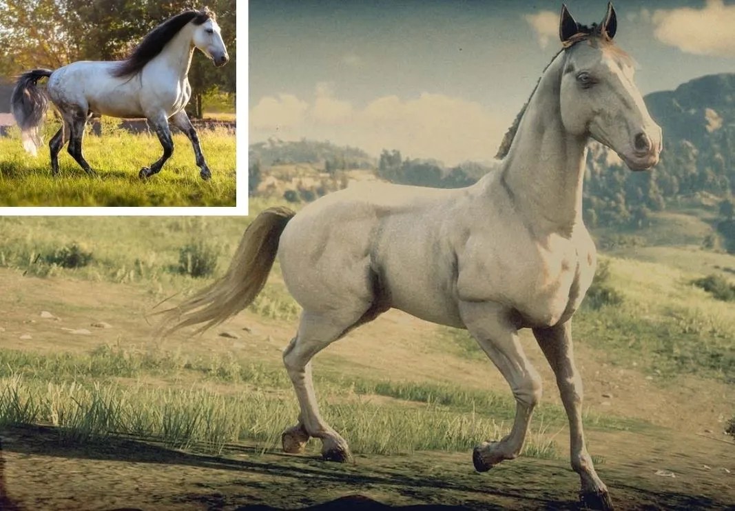 Mustangs are a cross between war and work horses, . Rdr2 How Accurate Red Dead Redemption 2 S Horses Are To Real Life