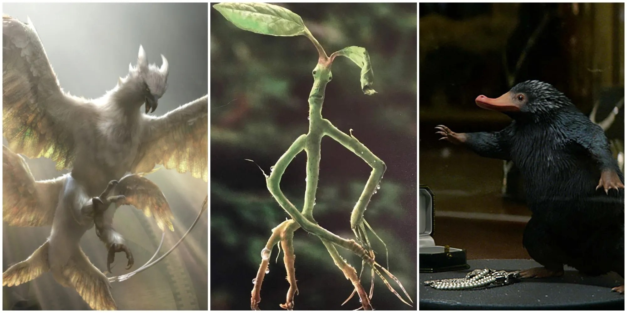 Fantastic Beasts 3 Qilin : Fantastic Beasts 3 Every New Magical Creature Confirmed So Far