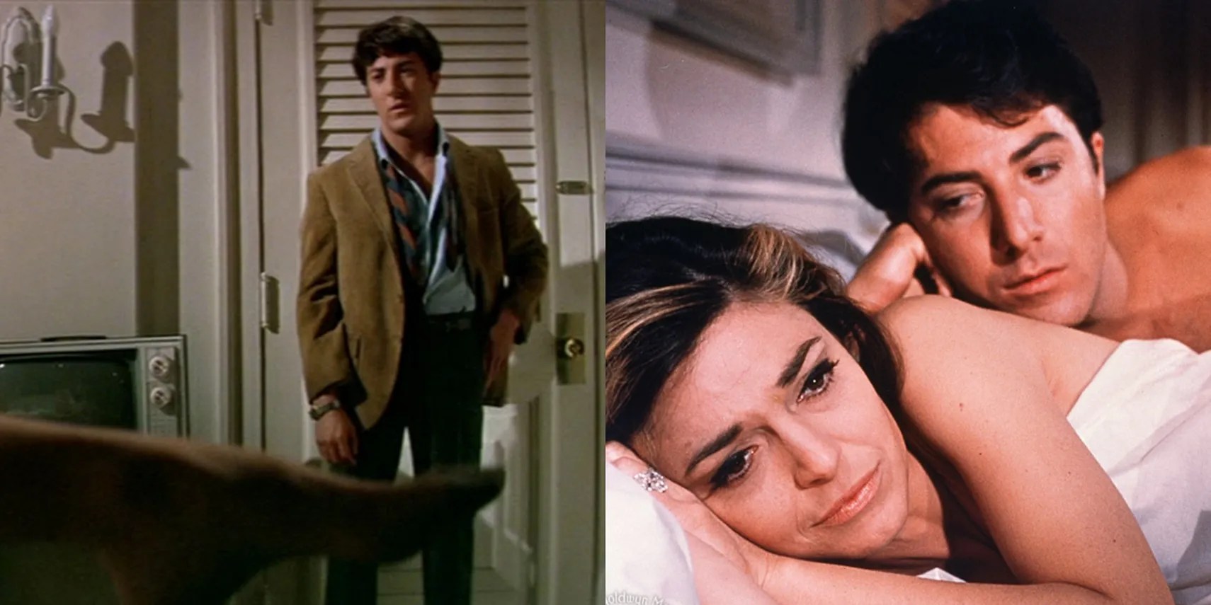 I don't own the copyright of this material. The Graduate 10 Things That Still Hold Up Today Screenrant