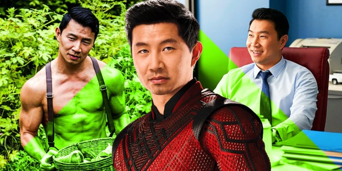 Simu liu net worth before shang-chi
