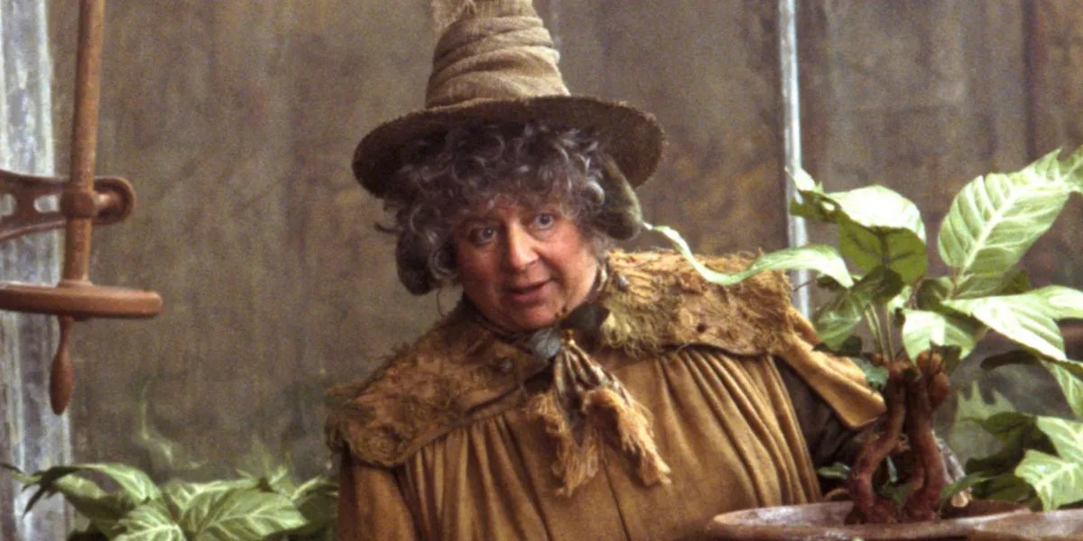 Harry Potter's Professor Sprout Actress Reveals How Much She Earned