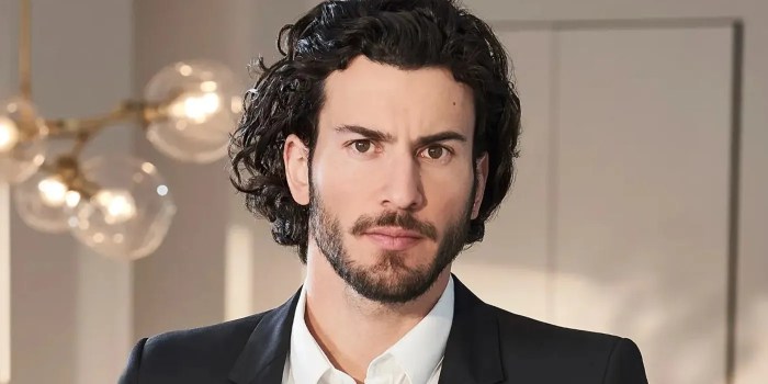 Steve gold net worth 2020