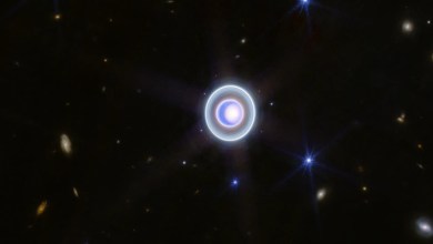 The NASA webb telescope discovers the tiny new moon Uranus, the astronomer explains its meaning