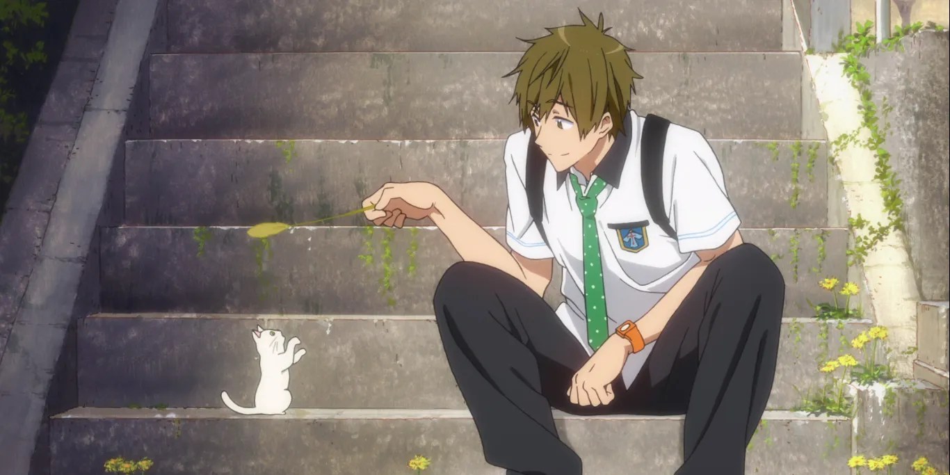 Makoto tachibana (橘 真琴) birthday: Which Free Character Are You Based On Your Zodiac Sign Cbr
