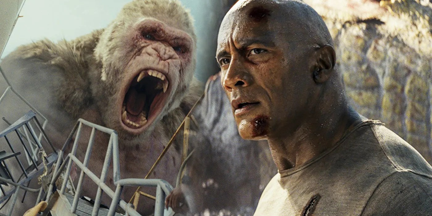 21+ Awesome Dwayne Johnson Bench Press / Dwayne 'The Rock' Johnson Gives Business Advice Via : The rock is so dedicated to his physique that he travels with a.