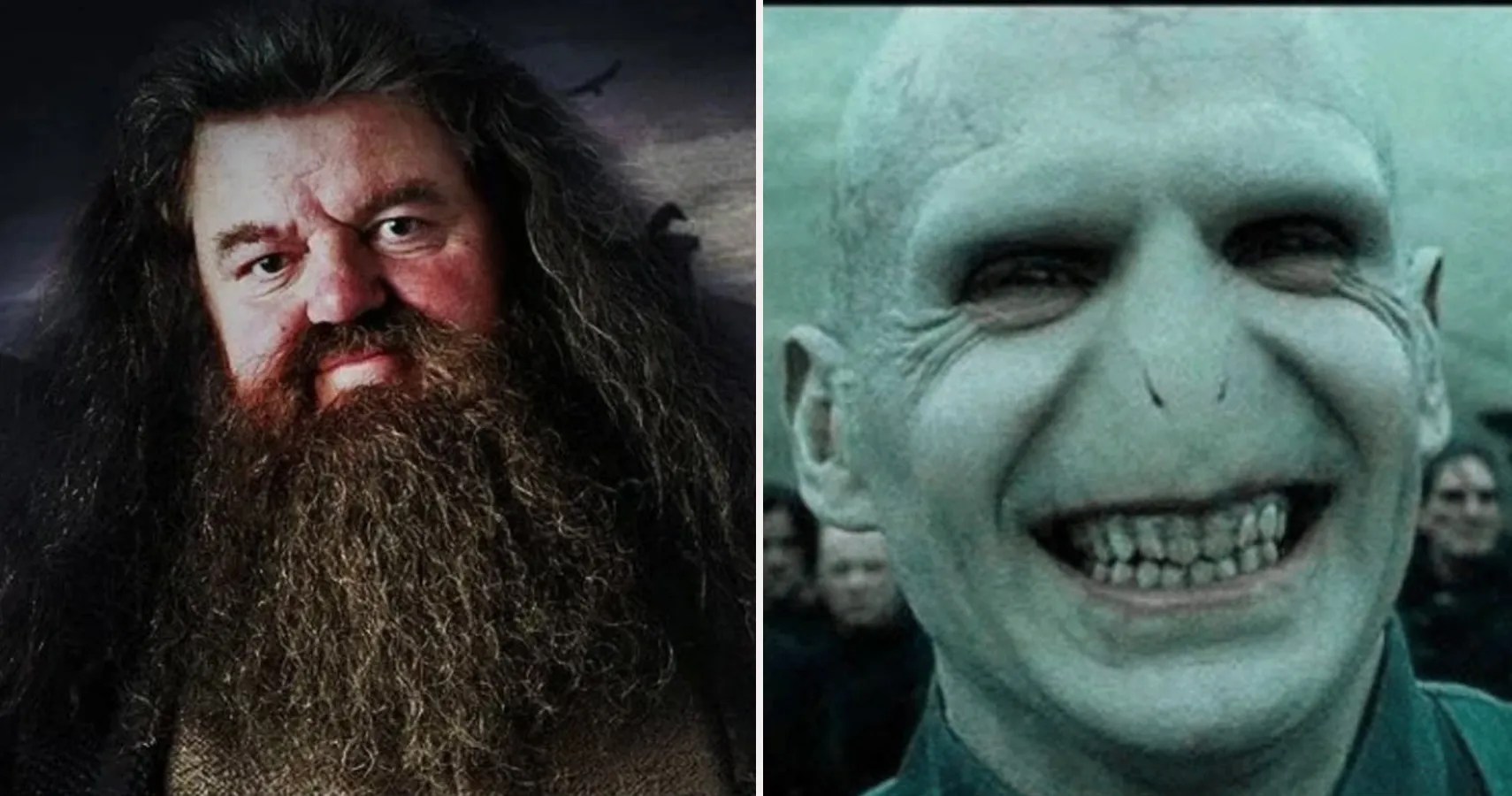 From amusing translations to mispronunciations. 10 Hilarious Harry Potter Logics Memes That Are Too Funny