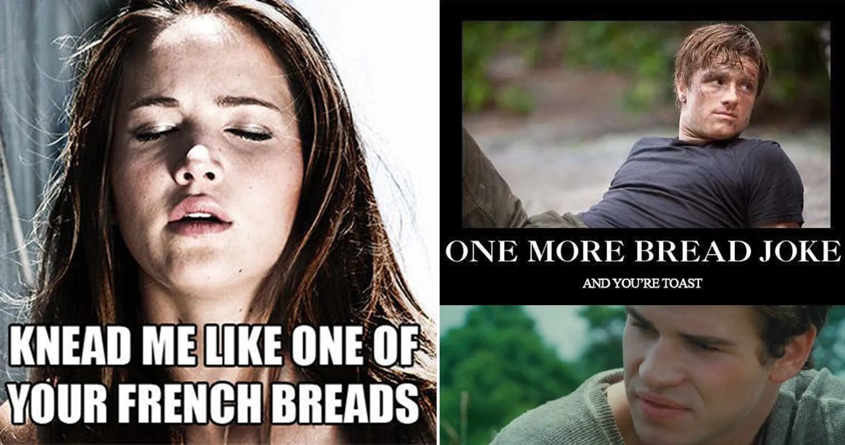 Close your blinds and make sure no one's looking before jumping into the meme stream because looking at these will definitely send you straight to hell. 15 Hilariously Inappropriate Hunger Games Memes That Just ...