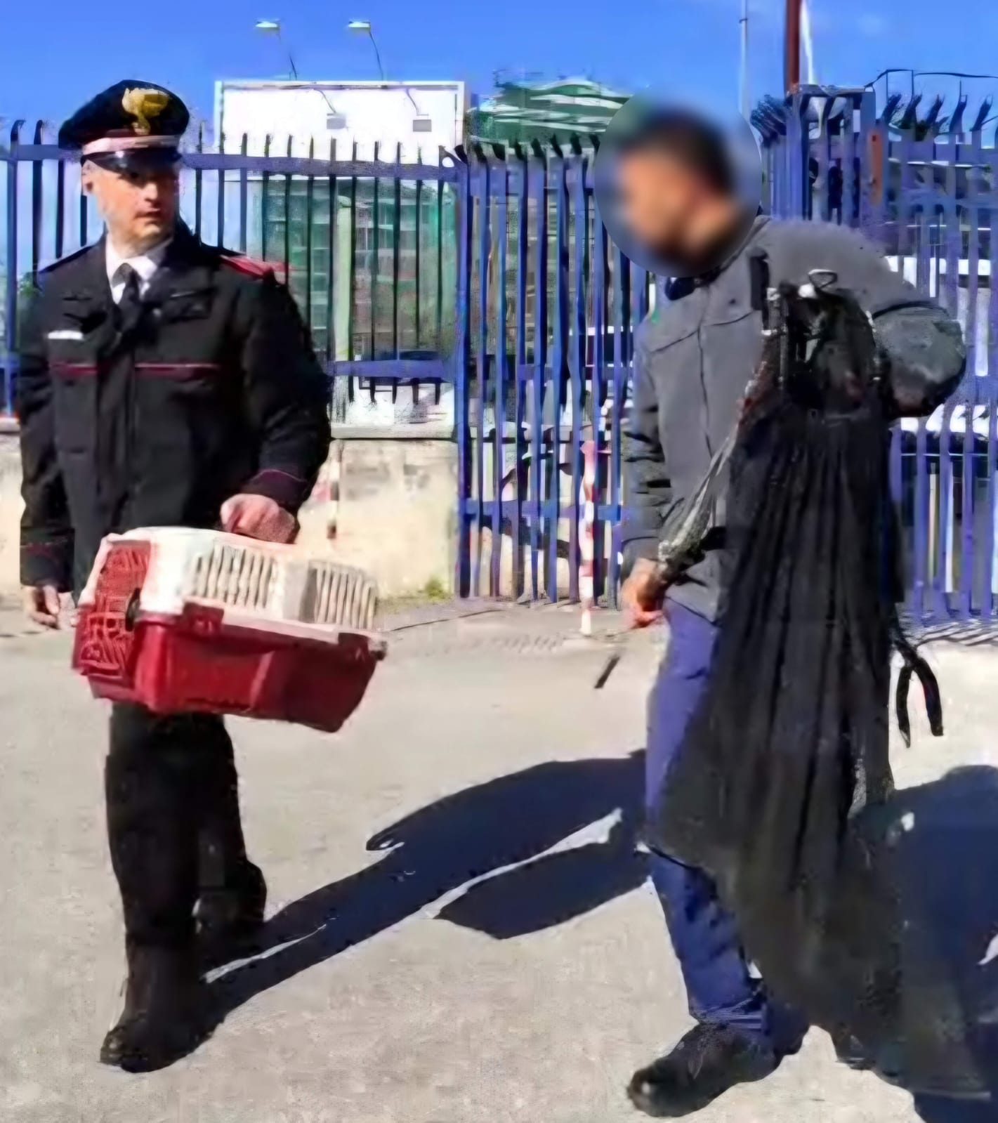 I carabinieri con il gattino salvato