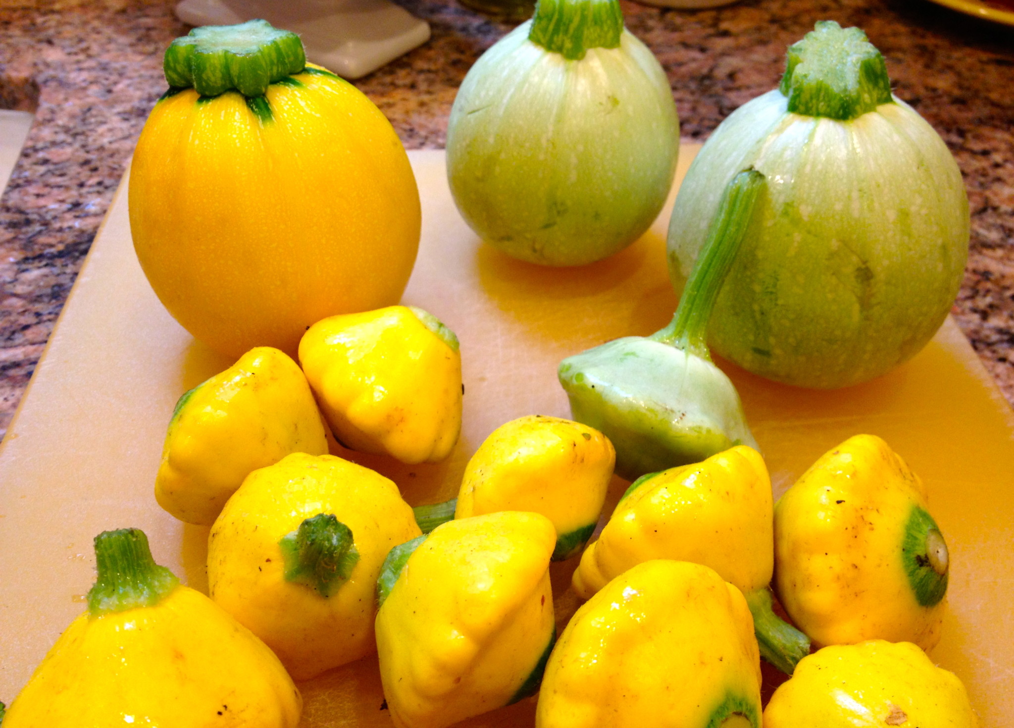 Pattypan Squash Stephi Gardens