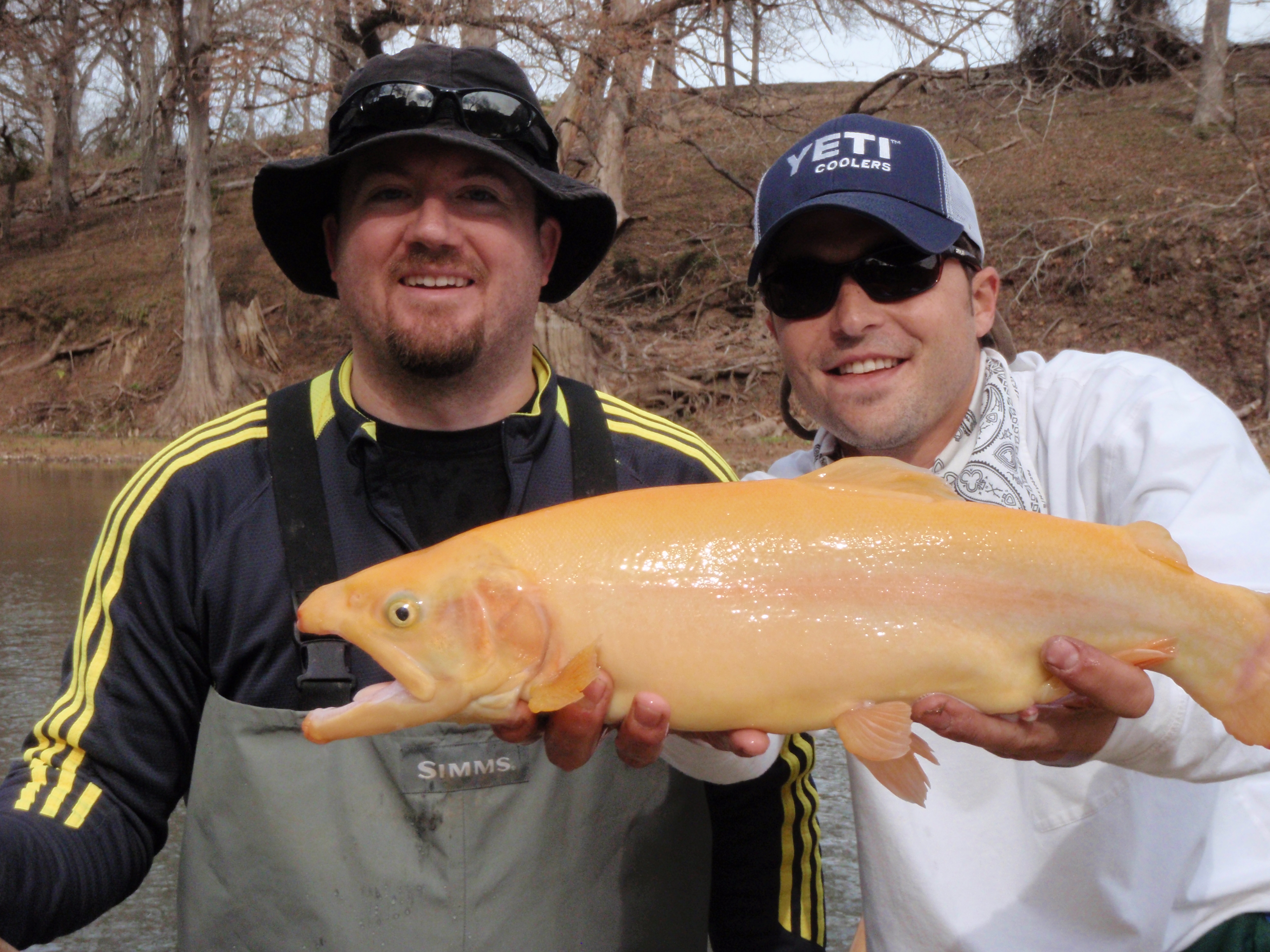 Guadalupe River Fly Fishing Report 12/19/09