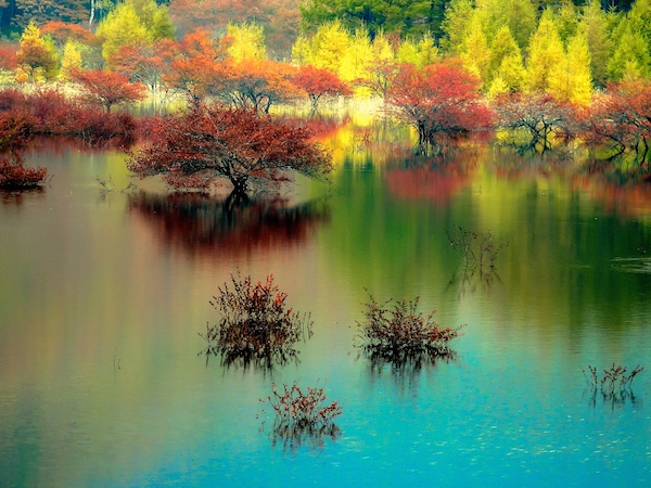 日本 | 探秘日光12大夢幻紅葉景點