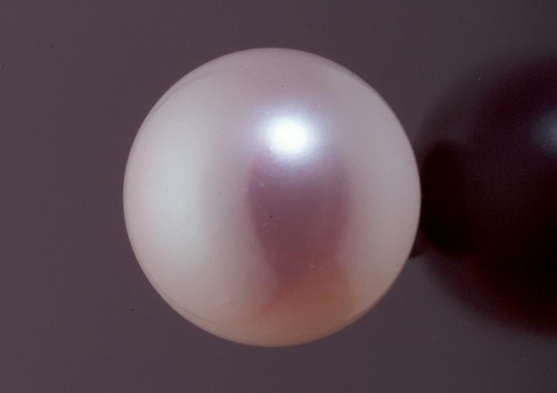 Bonus Tab – The Pearl