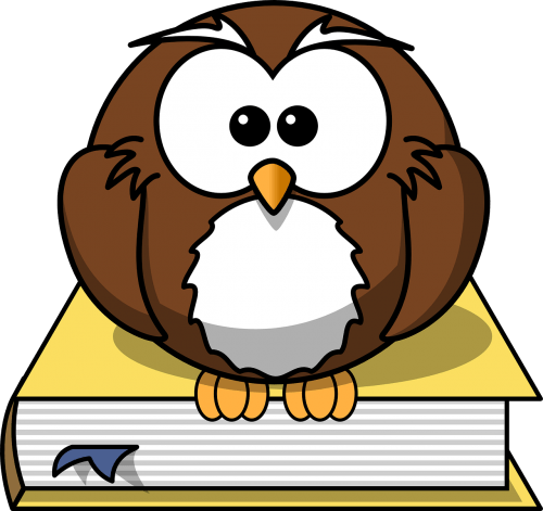 Download now cara menggambar burung hantu how to draw owl Dictionary Words Grammar Abc Letters Free Image From Needpix Com