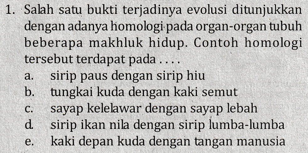 Evolusi - Tanya MIPI