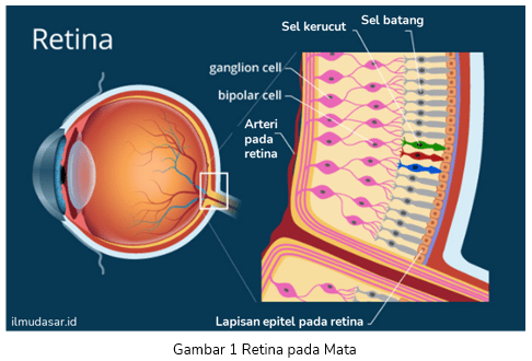 Cahaya dan Alat Optik - Tanya MIPI