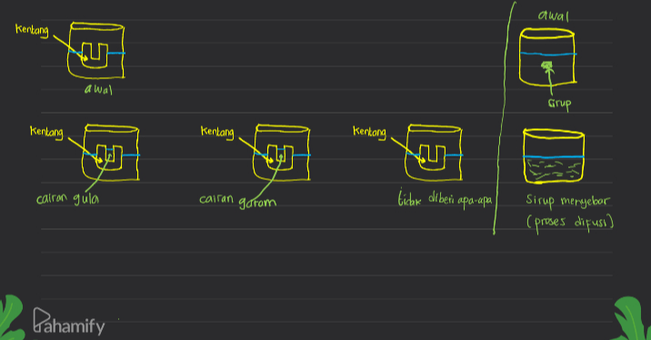 Penyusutan pada kentang disebabkan karena adanya osmosis. Seorang Siswa Melakukan Percobaan Sederhana Yakni Di Tanya Mipi