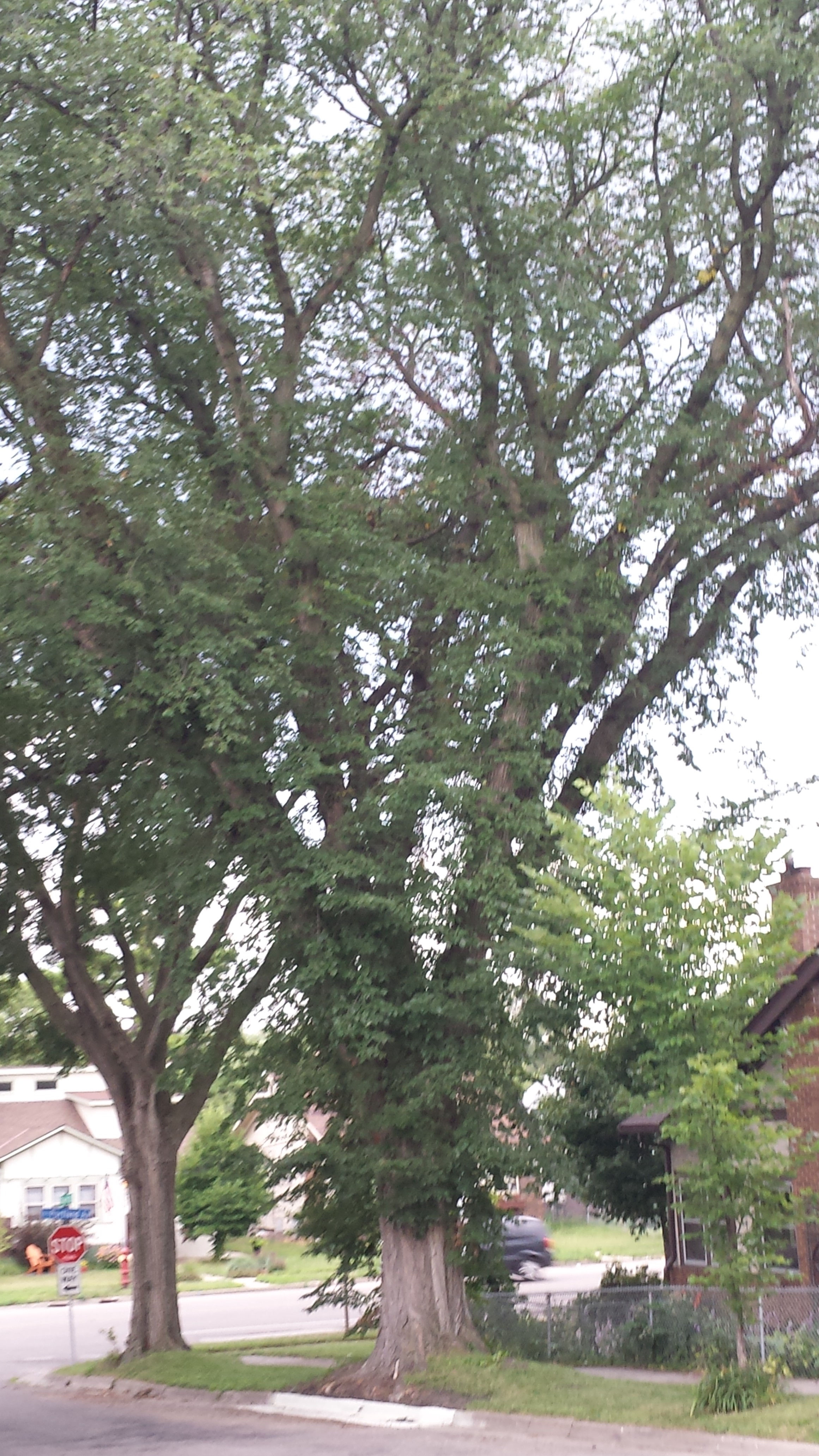 Eastern Bryant streets.mn