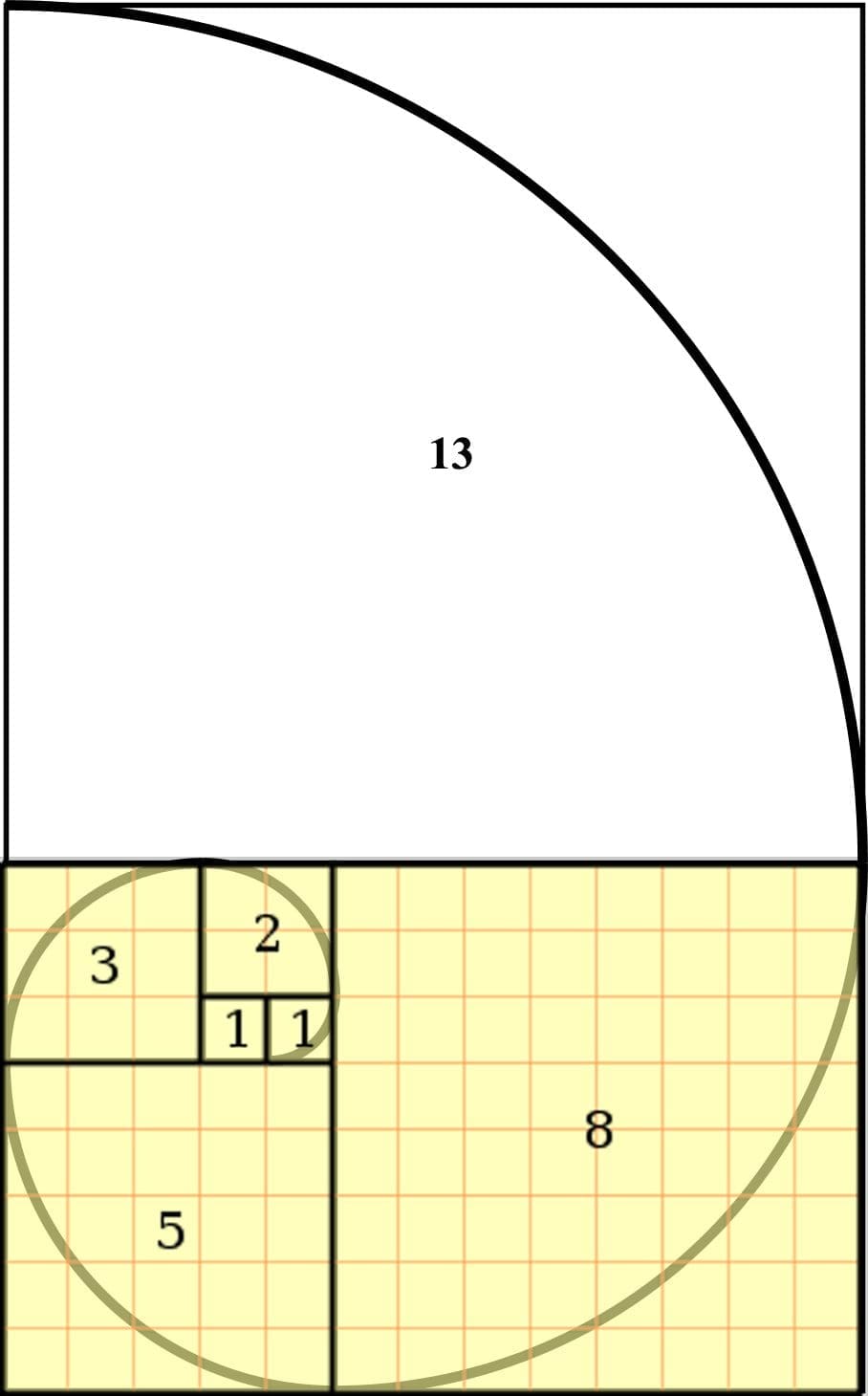 How To Draw Fibonacci Sequence at How To Draw