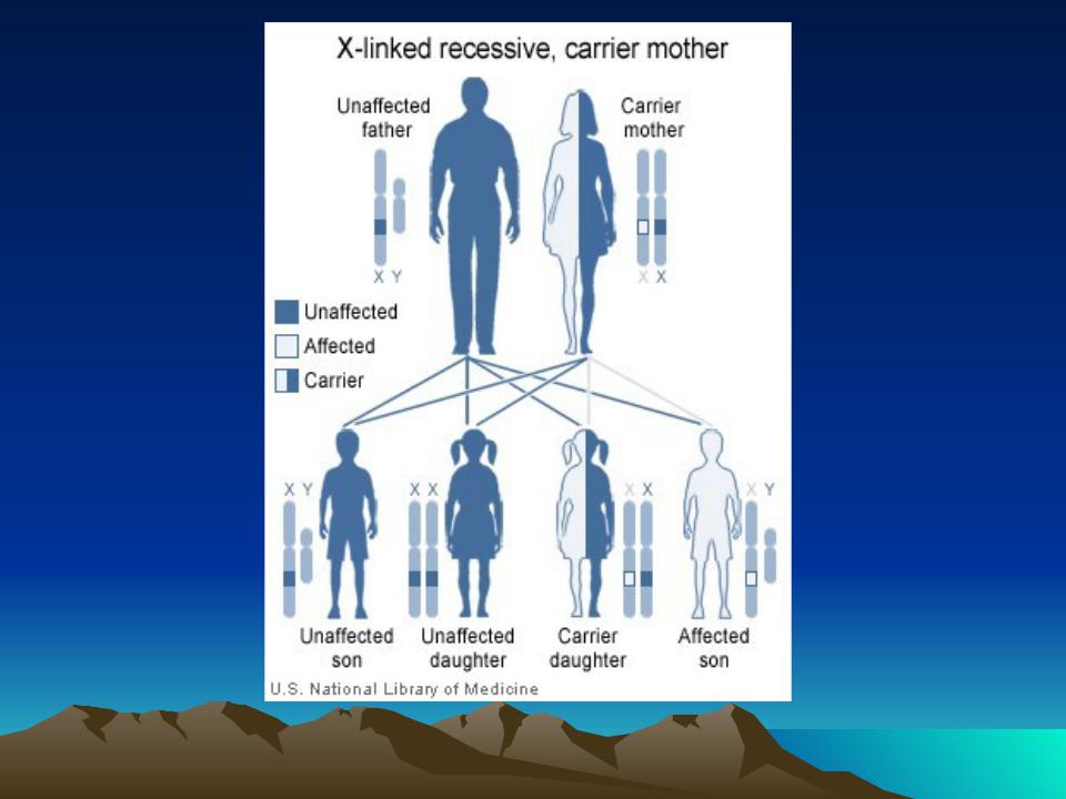 Гемофилия презентация по генетике