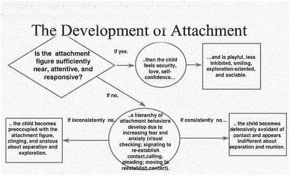 The strength of attachment theory is that it is used for therapy in our health care and to those children who are born in prison. John Bowlby Attachment Theory Studiousguy