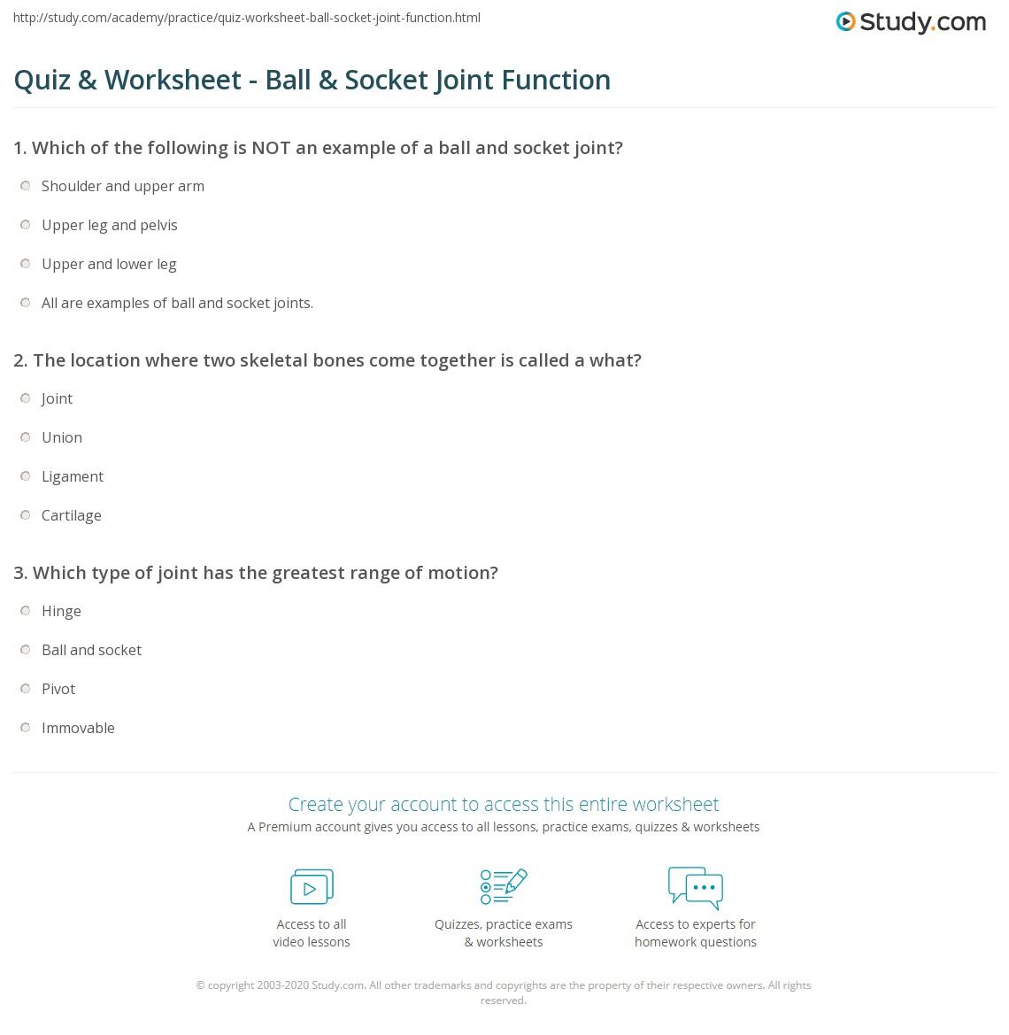 Joints of the skeletal system online worksheet for junior high school. Quiz Worksheet Ball Socket Joint Function Study Com