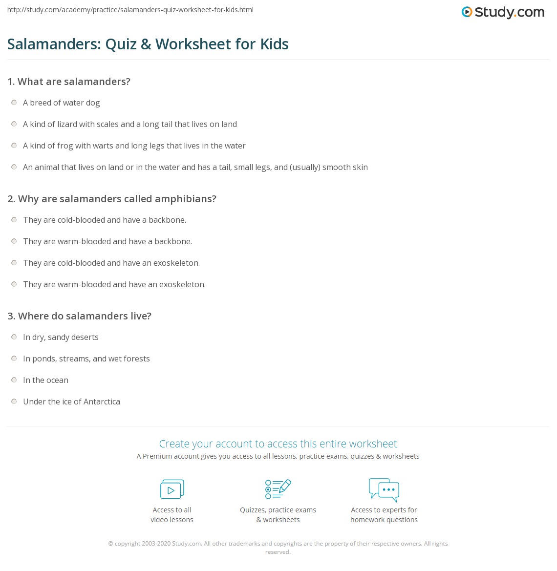 Learn all about one of the animals that symbolizes the united states of america: Salamanders Quiz Worksheet For Kids Study Com