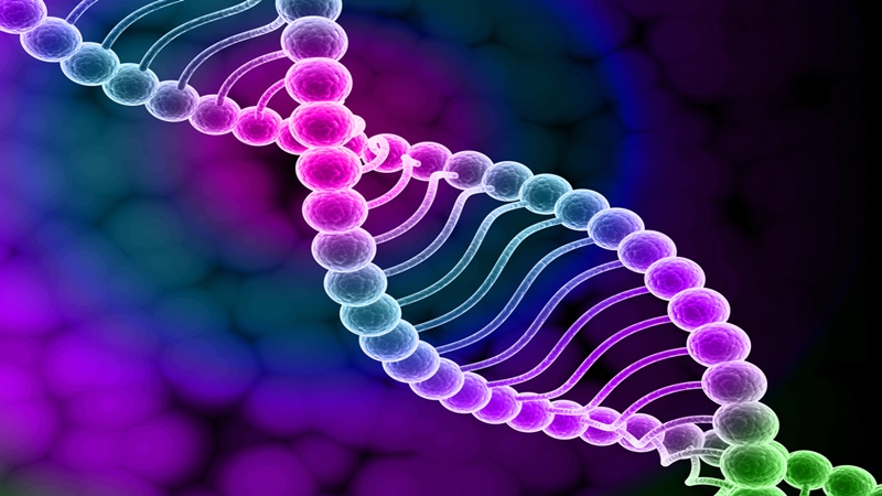 University of minnesota · university of geneva · the genomics era: Introduction To Genetics Certificate Program Course Online Video Lessons Study Com