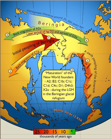 Sioux Indian Tribe History Facts Culture Video Lesson Transcript Study Com