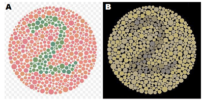 14+ Beautiful Color Blindness Simulation - Carnelian / #b31b1b hex color / Monochromacy #4c4c4c achromatopsia 0.005% of the population #703d3d.