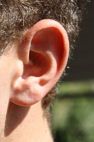We've found the wireless headphones that will stay put during sweaty sessions, all under £100. The BFG Chapters 6-11 Summary | Study.com