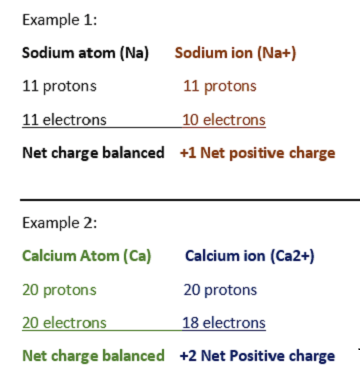 Cations Definition Examples Video Lesson Transcript Study Com